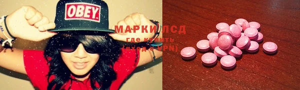 шишки Алзамай