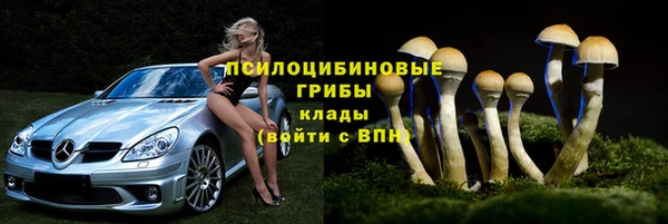 шишки Алзамай
