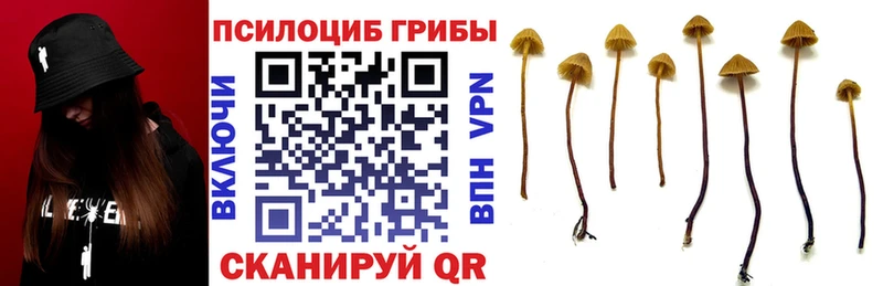 кракен маркетплейс  Петушки  Галлюциногенные грибы мухоморы 
